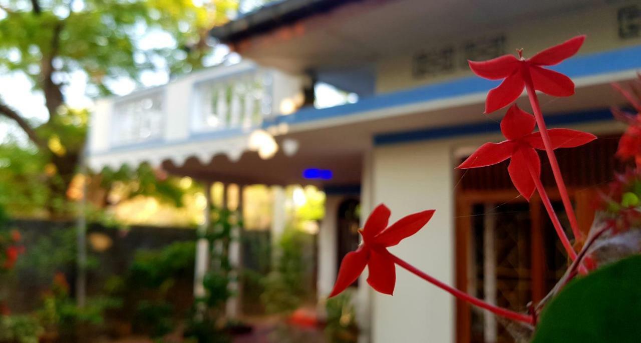 Breeze Guest House トリンコマリー エクステリア 写真