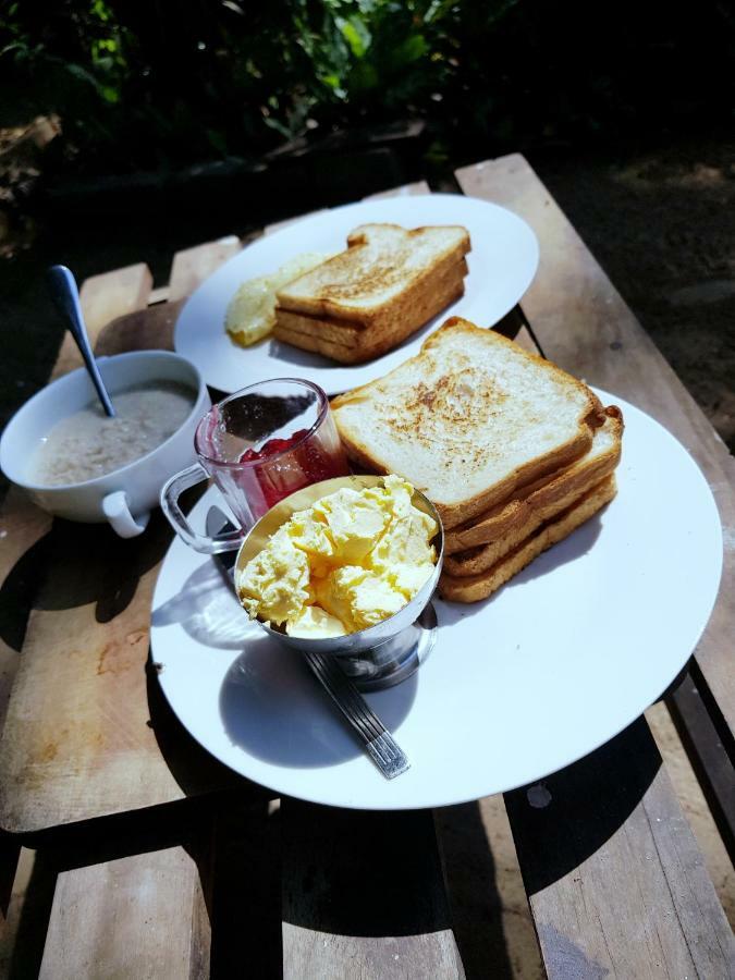 Breeze Guest House トリンコマリー エクステリア 写真