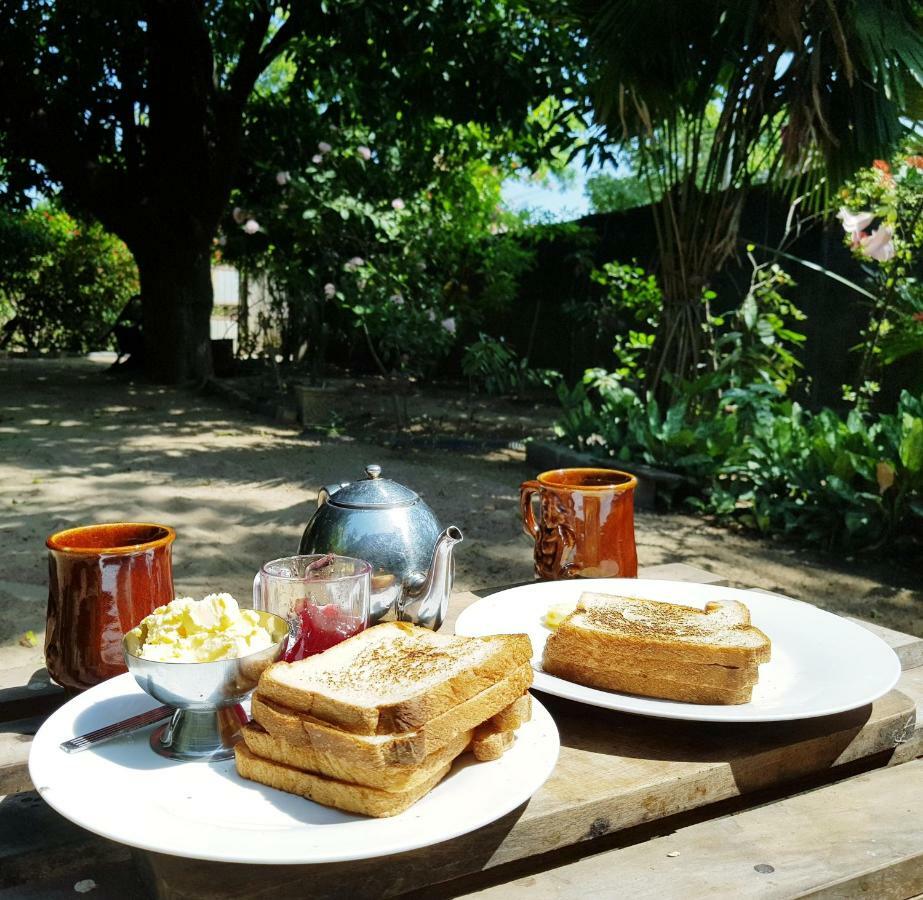Breeze Guest House トリンコマリー エクステリア 写真